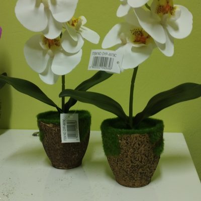 Цветы Flori artificale in ghiveci DYP8979C/5 ALB