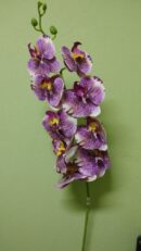 Цветы Flori artificiale DYH0878DC/51 Orchidea Violet