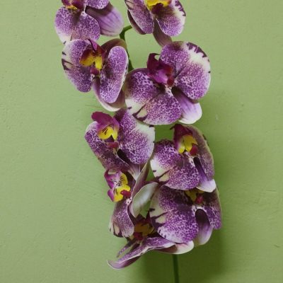 Цветы Flori artificiale DYH0878DC/51 Orchidea Violet