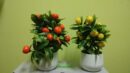Copacel in ghiveci fructe Orange plastic