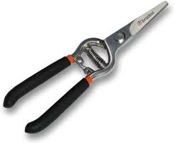 Секатор Ножницы садовые Bradas  KT-RG1007