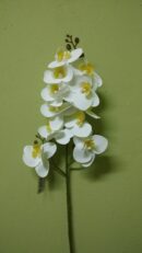 Цветы Flori artificiale DYH0860DC/26 Orchidea Alb