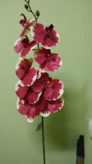 Цветы Flori artificiale DYH0854DC/40 Orchidea Rosu+Galben