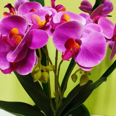 Цветы Flori artificale in ghiveci DYP6001/24 Violet