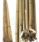 Bambuc  B244-20/22 L250 cm