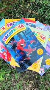 Раскраска А-4+60 наклеек,ассорти QD-24019