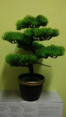 Bonsai in ghiveci B611 40*8cm (6)