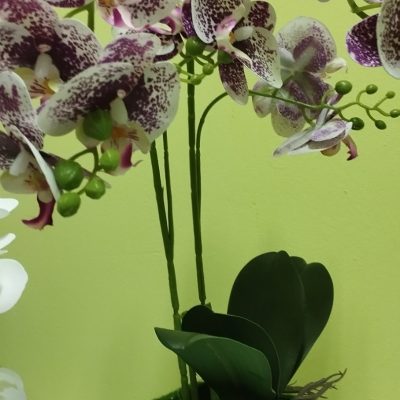 Цветы Flori artificale in ghiveci DYP6007/8 Alb+Violet