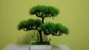 Bonsai in ghiveci 303 22*10cm (3)